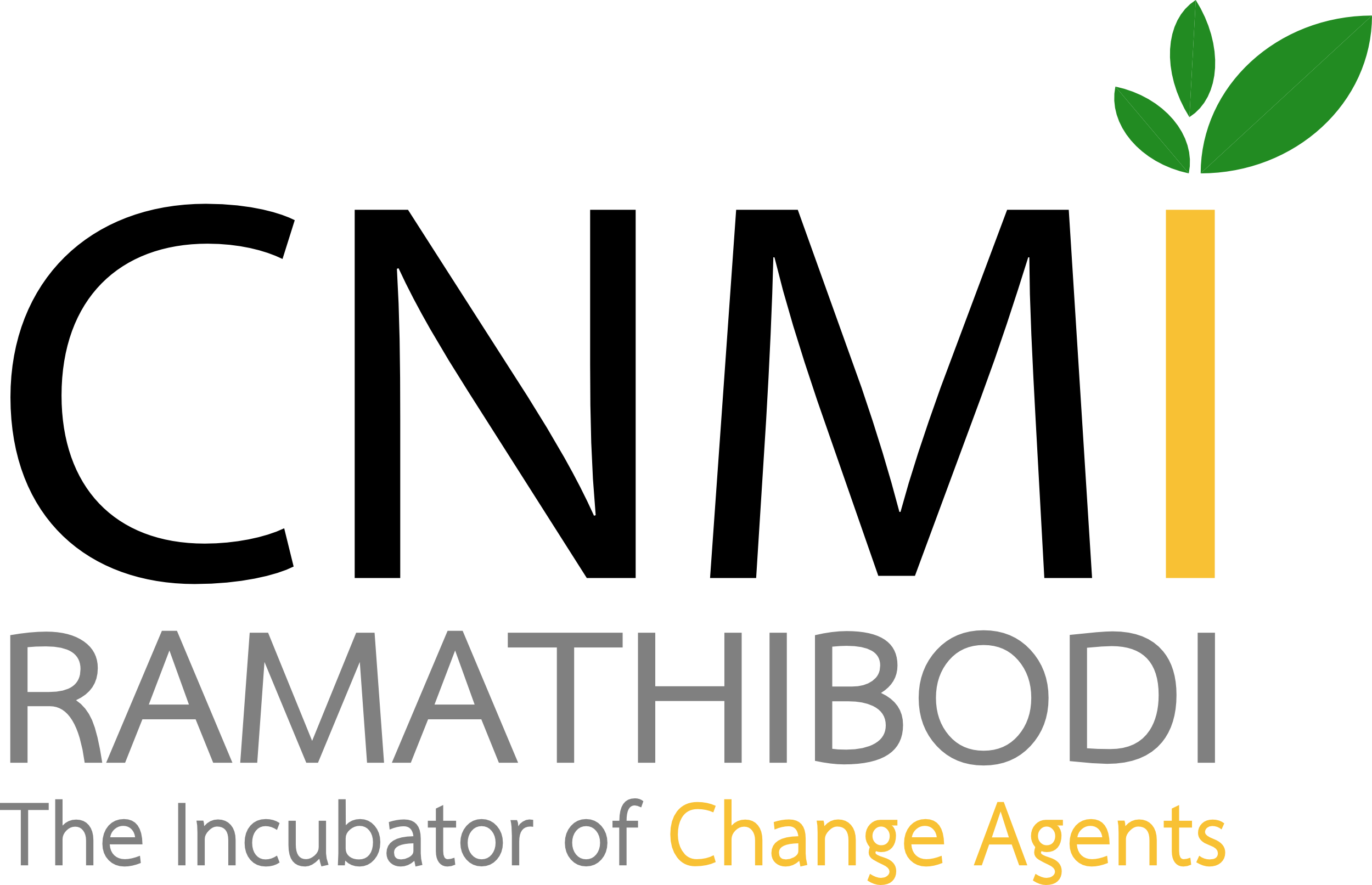 Chakri Naruebodindra Medical Institute, Faculty of Medicine Ramathibodi Hospital Logo
